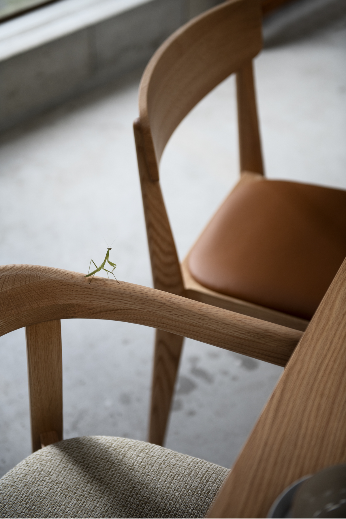Holm Chair