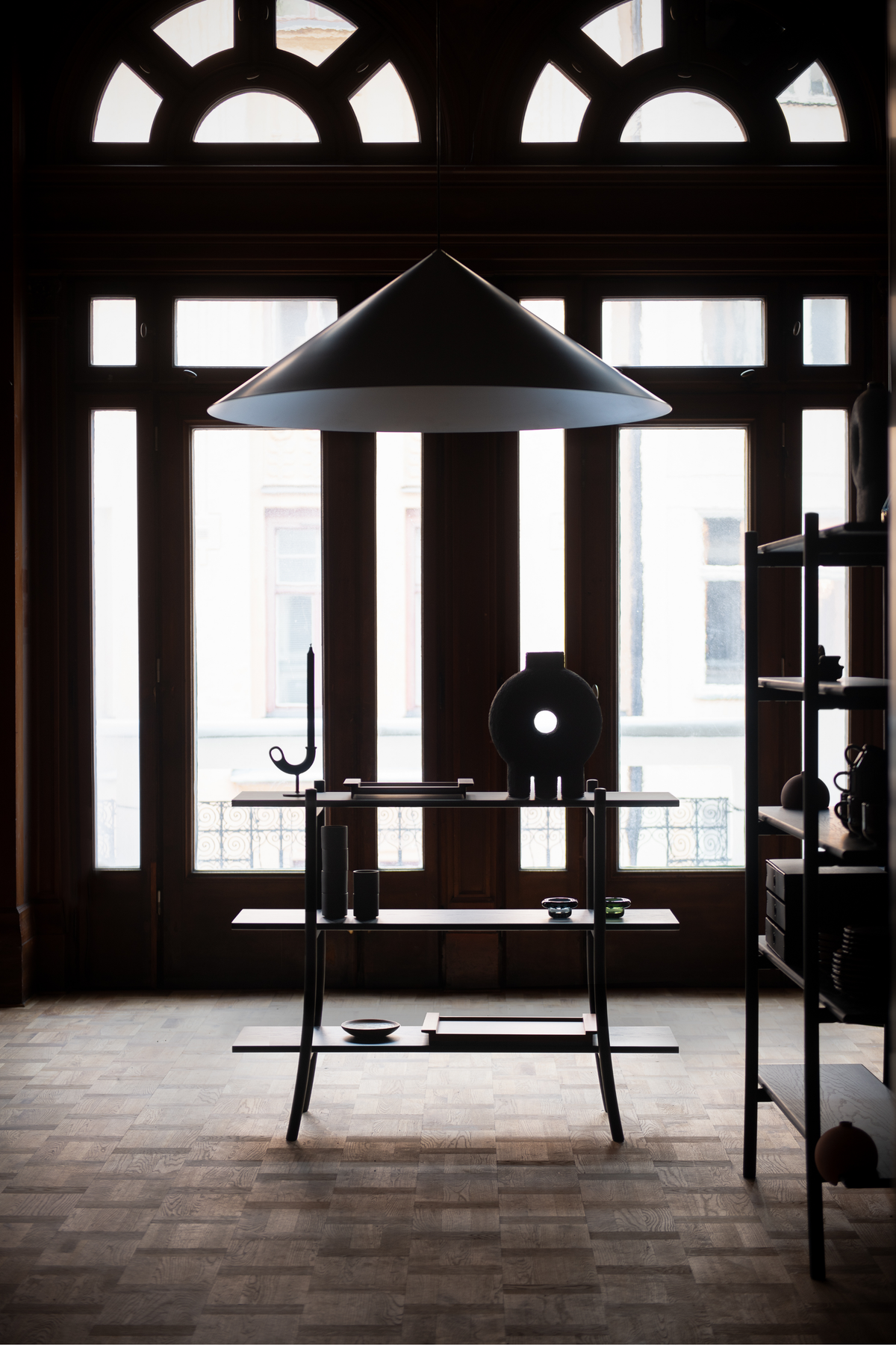 Skyladder Shelves